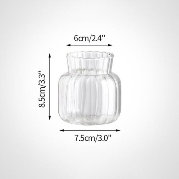 Transparent Flower Vase - Picture 6 of 12